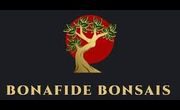 Bonafide Bonsais (1)